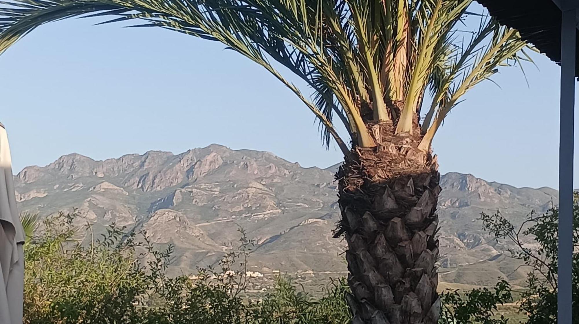 Cortijo Las Gallardas En Almeria Los Gallardos Eksteriør billede