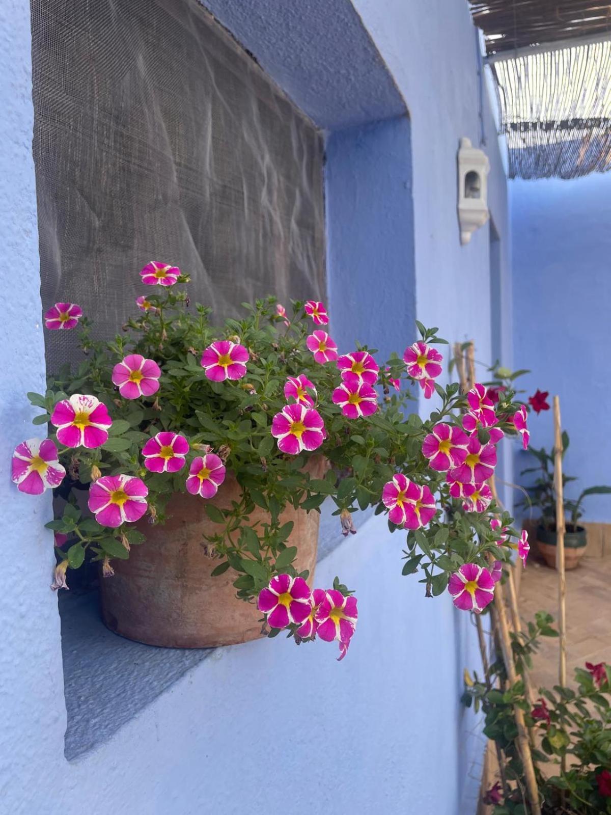 Cortijo Las Gallardas En Almeria Los Gallardos Eksteriør billede